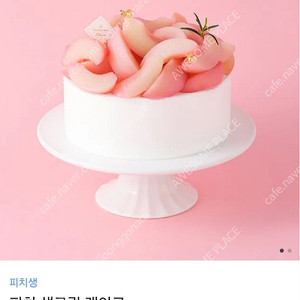 투썸플레이스 피치 생크림 케이크 3.8만원권 (제품 변경 가능)