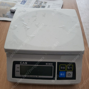 cas저울 sw-1s(max 5kg)