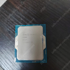인텔 12세대 셀러론 G6900 단품