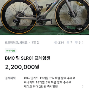 BMC 팀 SLR01 프레임셋
