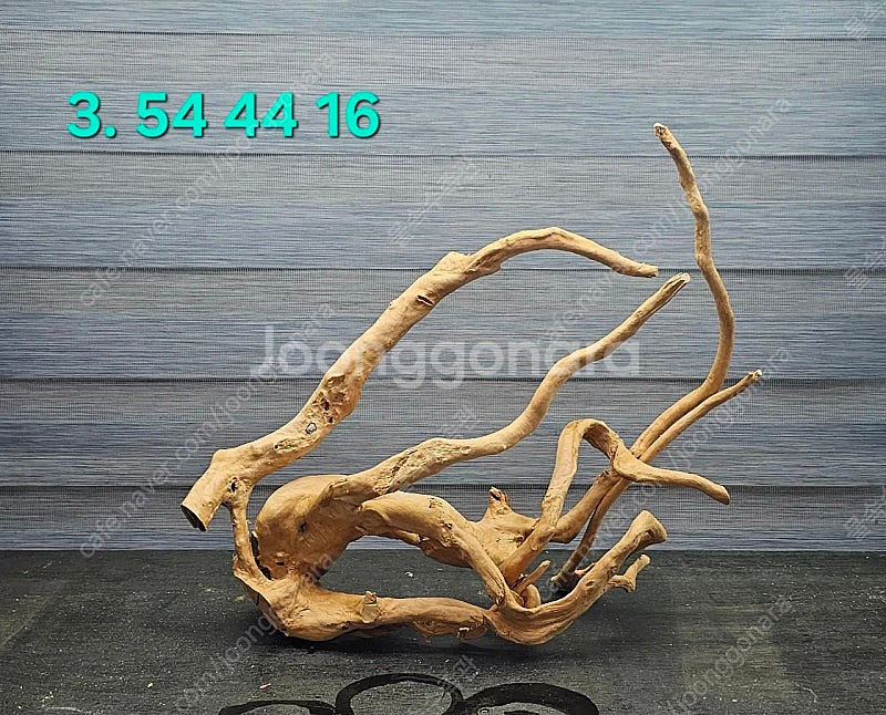 중대형 가지유목 팝니다(자립되고 택배됨)--4