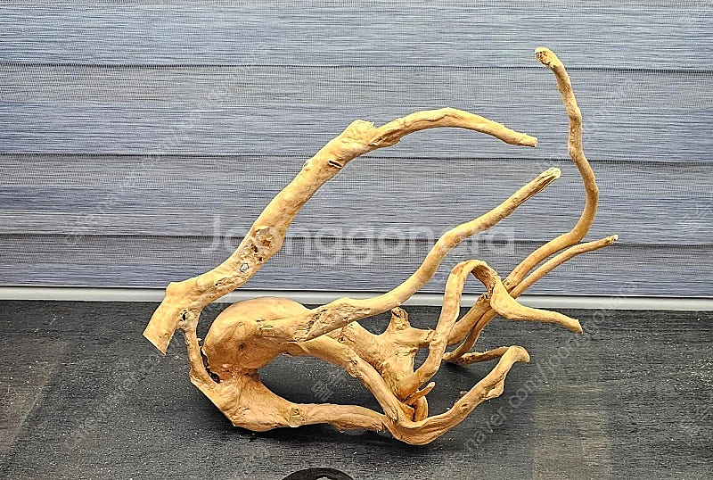 중대형 가지유목 팝니다(자립되고 택배됨)--5