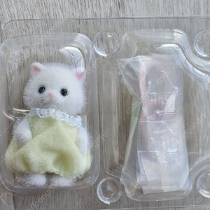 실바니안 페르시안 고양이 아기 바다 거북이
