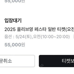 올리브영 페스타 토요일 오전티켓