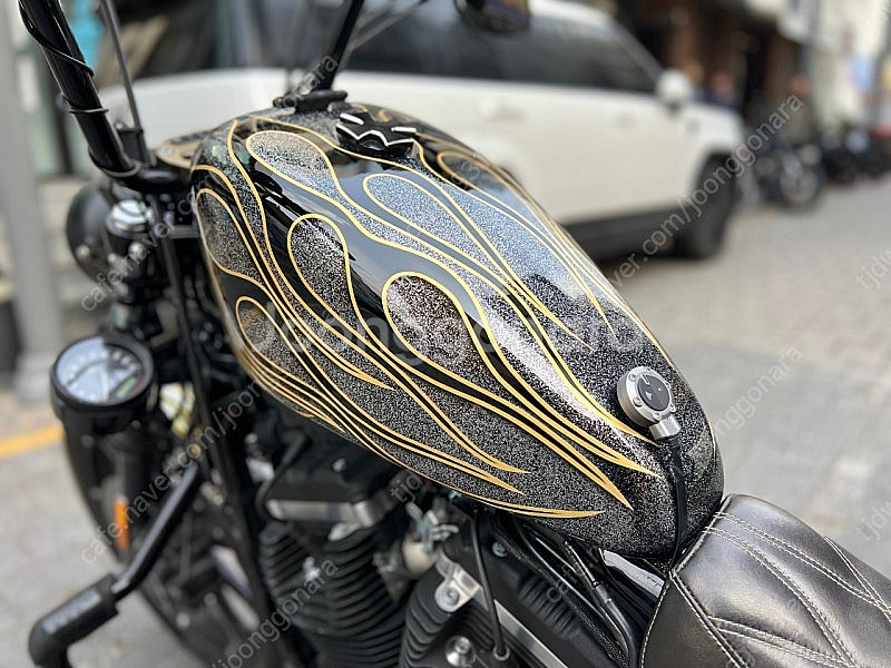 할리데이비슨 아이언883--3