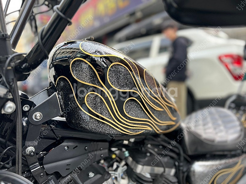 할리데이비슨 아이언883--4