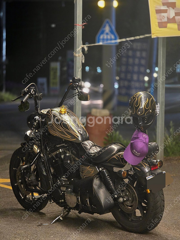 할리데이비슨 아이언883--9