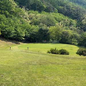 Tsi2 우드 3번,15도 삽니다