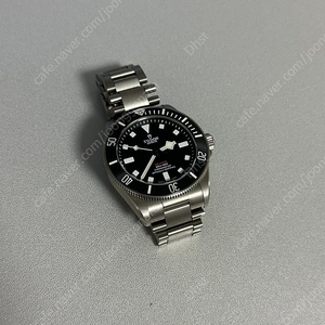 ZF 튜더 펠라고스39
