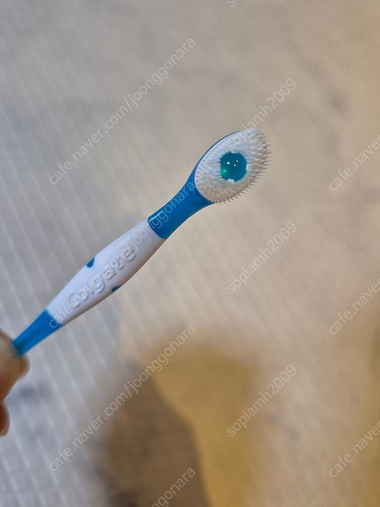 콜게이트 옵틱 화이트 일회용칫솔 반택포함--2