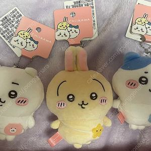 먼작귀 치이카와 하치와레 우사기 미니소 마스코트 인형 키링 일괄