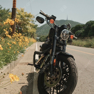 할리데이비슨 로드스터(XL1200CX)/20년식