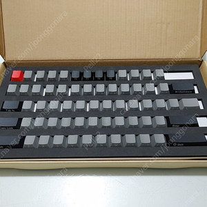 돌치색상 측각 PBT 키캡 판매합니다
