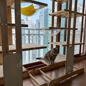 고양이 원목 캣타워 캣츠빌