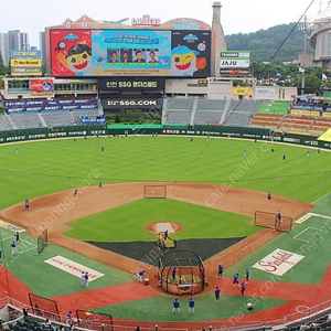 KBO 5/23(금) 5/24(토) 5/25(일) SSG vs LG 랜더스필드 라이브존 sky뷰석 으쓱이존 단석 3루 덕아웃 상단석 2연석 명당 야구티켓 시야사진O