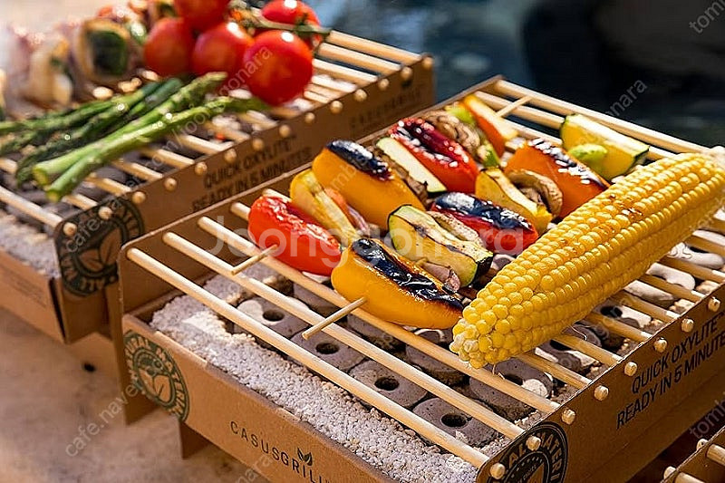 캠핑용 Casus Grill 일회용 친환경 숯불 그릴 ...--5