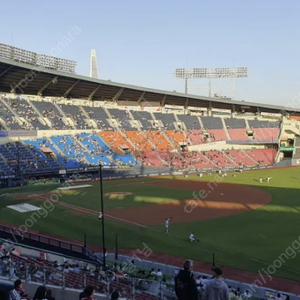 [잠실야구장] LG트윈스 vs 한화이글스 5/29 목 1루 응원석 부근 레드 203 통로인근 2연석