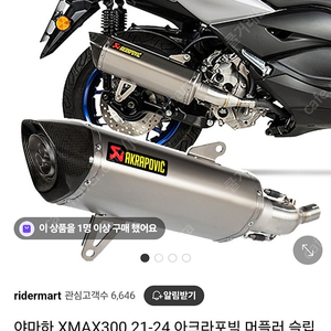 Xmax300 아크라포빅 신품