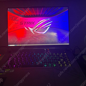 ASUS ROG G614JV-N4117(2024) 판매합니다