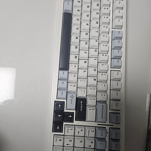 독거미 경해축 f99배열