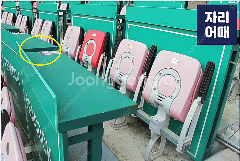 5월 25일 SSG랜더스필드야구장 SSG LG 1층 피...--3