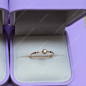 골든듀 에스뜨왈 반지 로골 17호