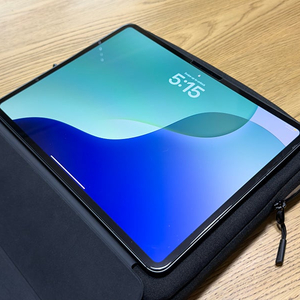 애플 아이패드 프로 13인치 7세대 2TB 셀룰러