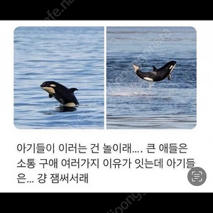 네이버페이 10만원 팔아요