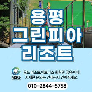 용평 그린피아 리조트 회원권 매매합니다. 문의주세요.