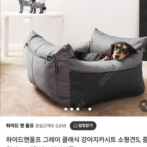 강아지카시트