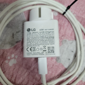 LG그램 65W 케이블 충전기 판매해요