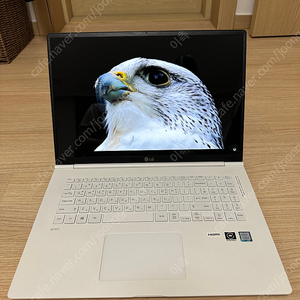 LG 그램17 17Z990-GR3CL