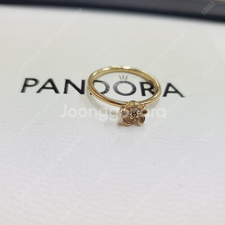 판도라 골드 반지--3