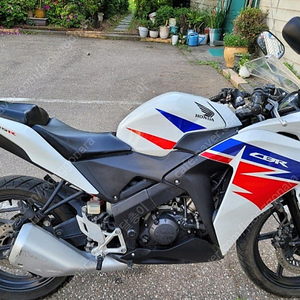 17년식 cbr125 팝니다