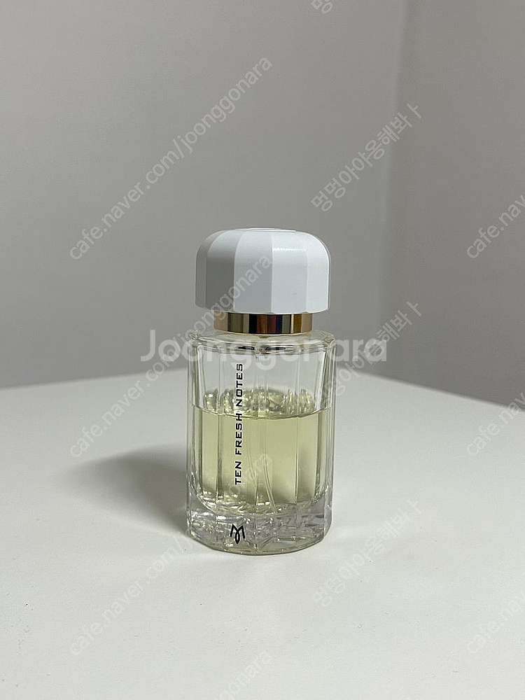 라몬 모네갈 텐프레쉬 노트 100ml--2