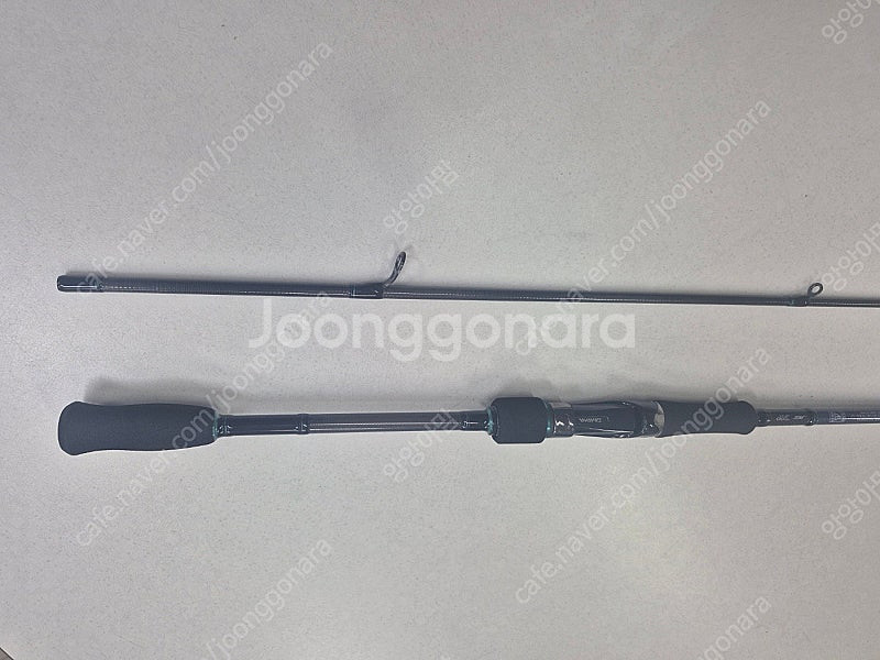 다이와 에메랄다스 AGS 에깅로드--4