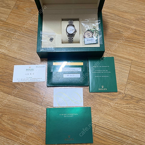 로렉스 데이저스트 26 화이트로만