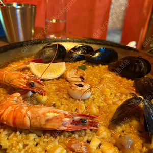 유튜브 82000명 정치 채널 수익창출o 국내 구독자