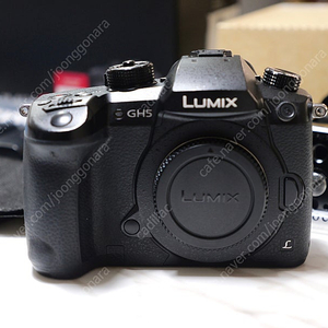 파나소닉 루믹스 Lumix gh5 + 스몰리그 케이지