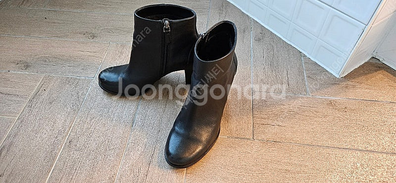 에코 ecco--1