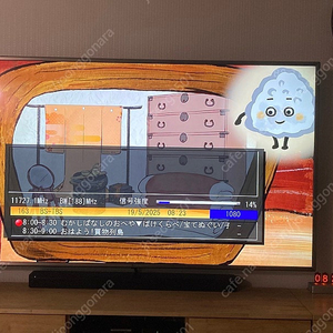 일본 위성 BS/CS 디지탈 방송 수신기