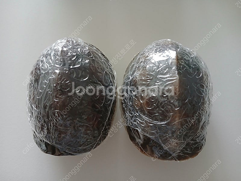 반다이 생물대도감 거북이--2