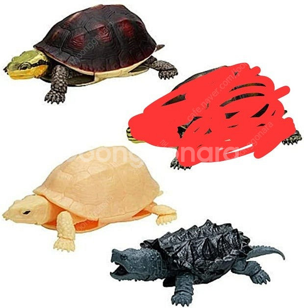 반다이 생물대도감 거북이--3