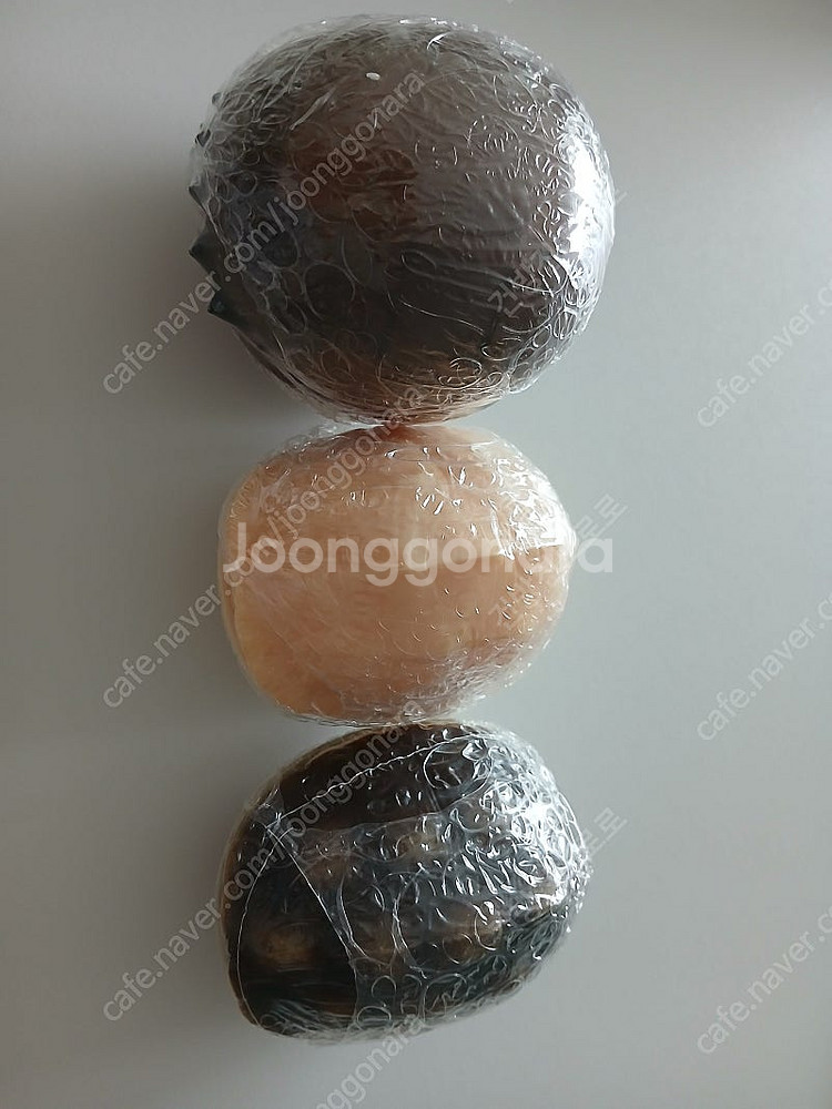 반다이 생물대도감 거북이--4
