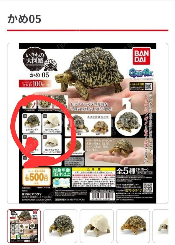 반다이 생물대도감 거북이--5
