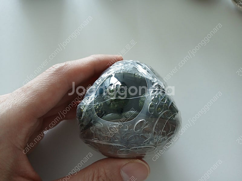 반다이 생물대도감 거북이--9