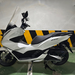 (서울)PCX125 24년식 145KM 신차급