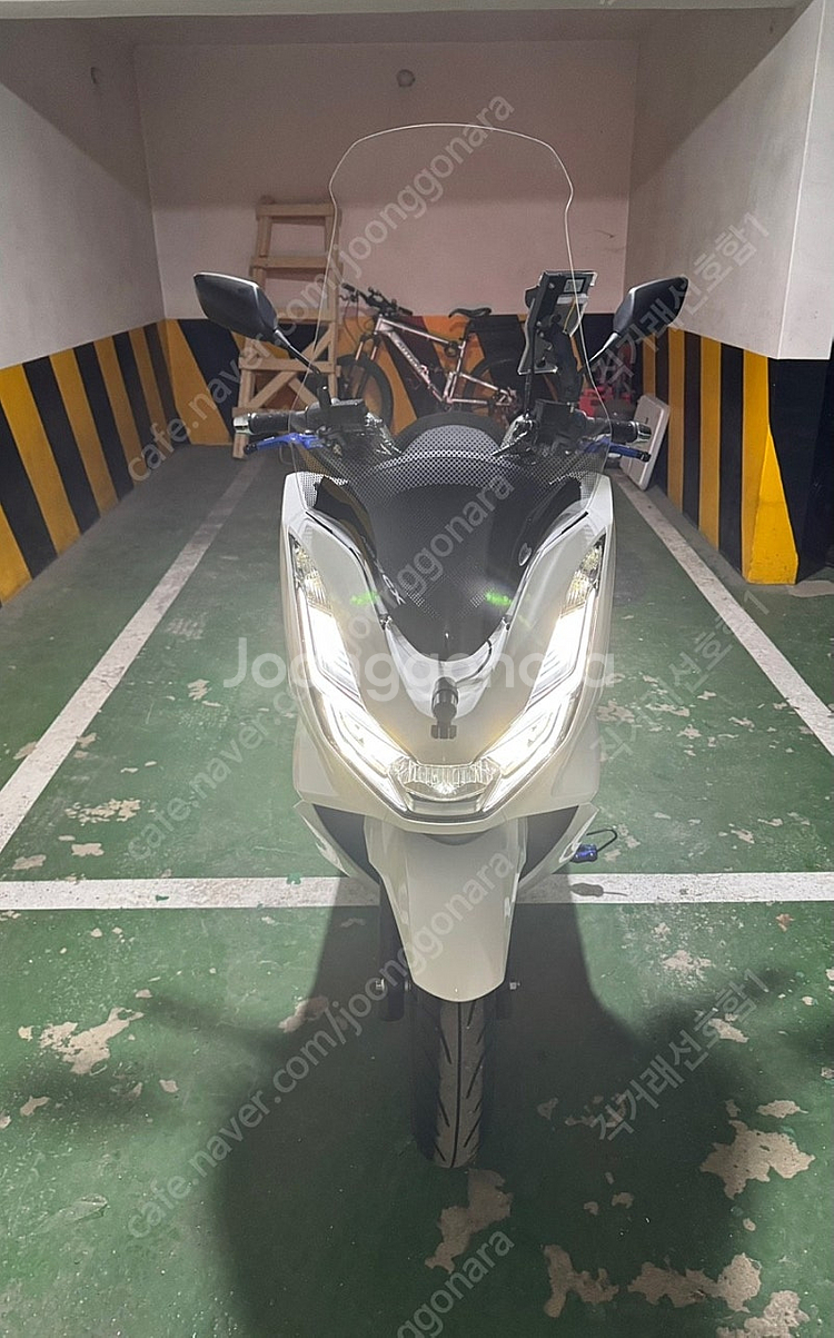 (서울)PCX125 24년식 145KM 신차급--1
