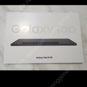 갤럭시탭s9 5g 256