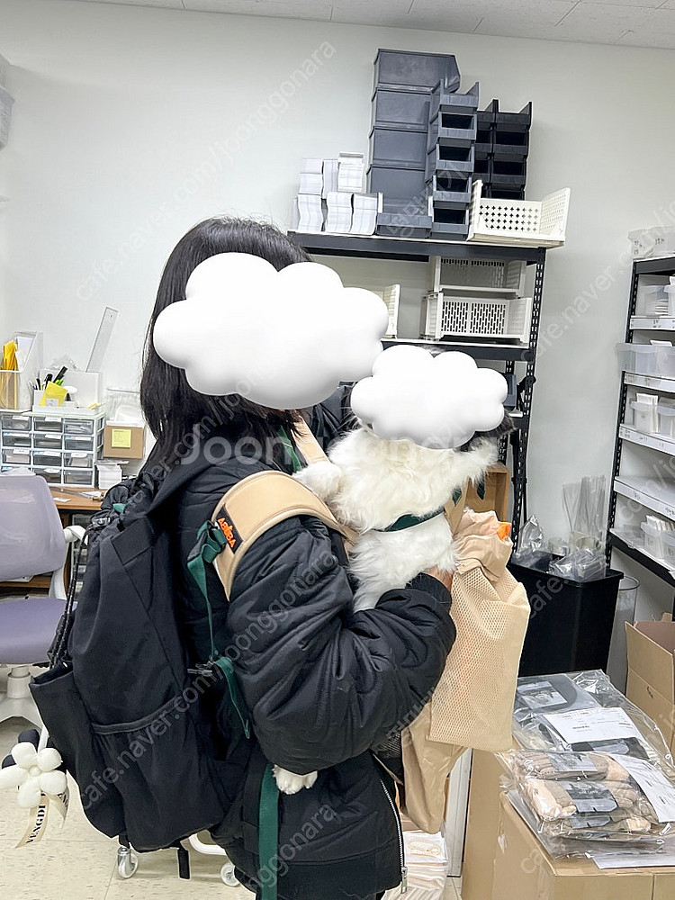 택포)견체공학 어부바3 강아지 포대기 라지 팝니다.--2